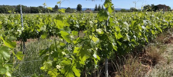 Коммерческая недвижимость 310м² в Котиньяк, Франция № 1583 9