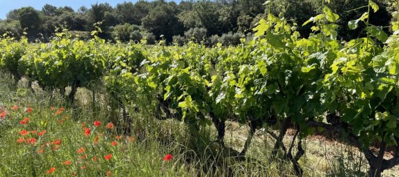 Коммерческая недвижимость 310м² в Котиньяк, Франция № 1583 4