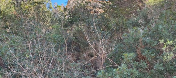 770m² Land in Benitachell, Spain No. 95846 13