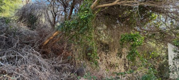 770m² Land in Benitachell, Spain No. 95846 5