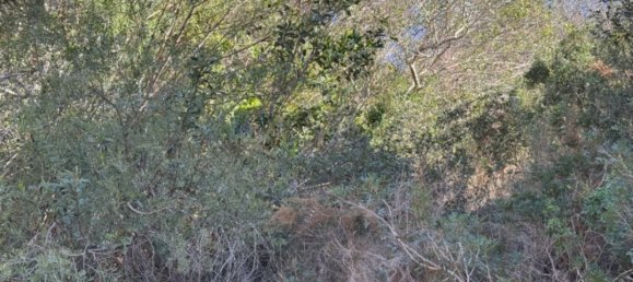 770m² Land in Benitachell, Spain No. 95846 14