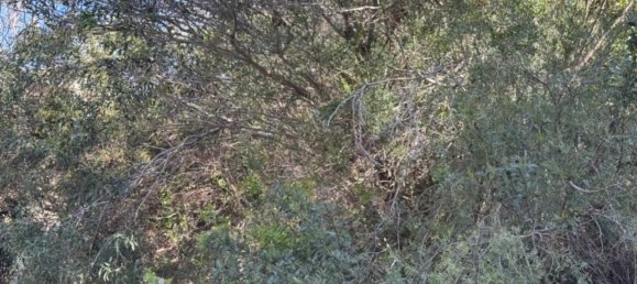 770m² Land in Benitachell, Spain No. 95846 15