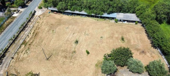 5 Schlafzimmer Haus in Macedo de Cavaleiros, Portugal, Nr. 168568 27