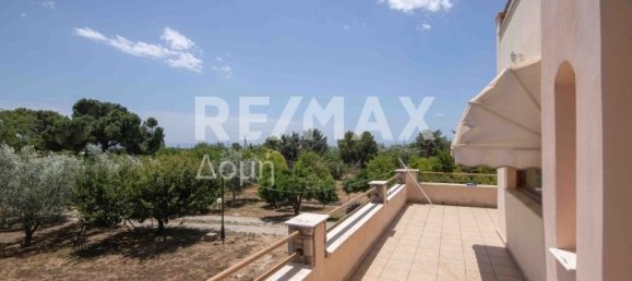 6 bedrooms Commercial property in Magnesia, Greece No. 303 13