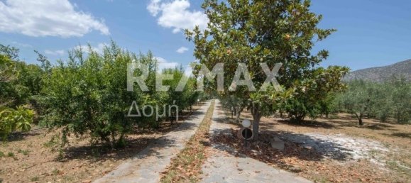 6 bedrooms Commercial property in Magnesia, Greece No. 303 7