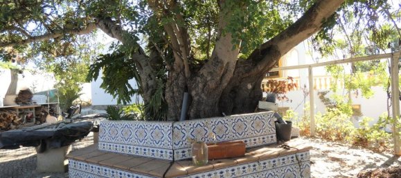 4 غرف نوم منزل في Albufeira, Portugal رقم 208573 31