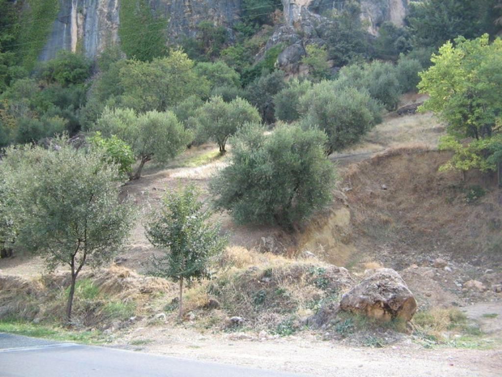 371m² Land in Andalusia, Spain No. 211875