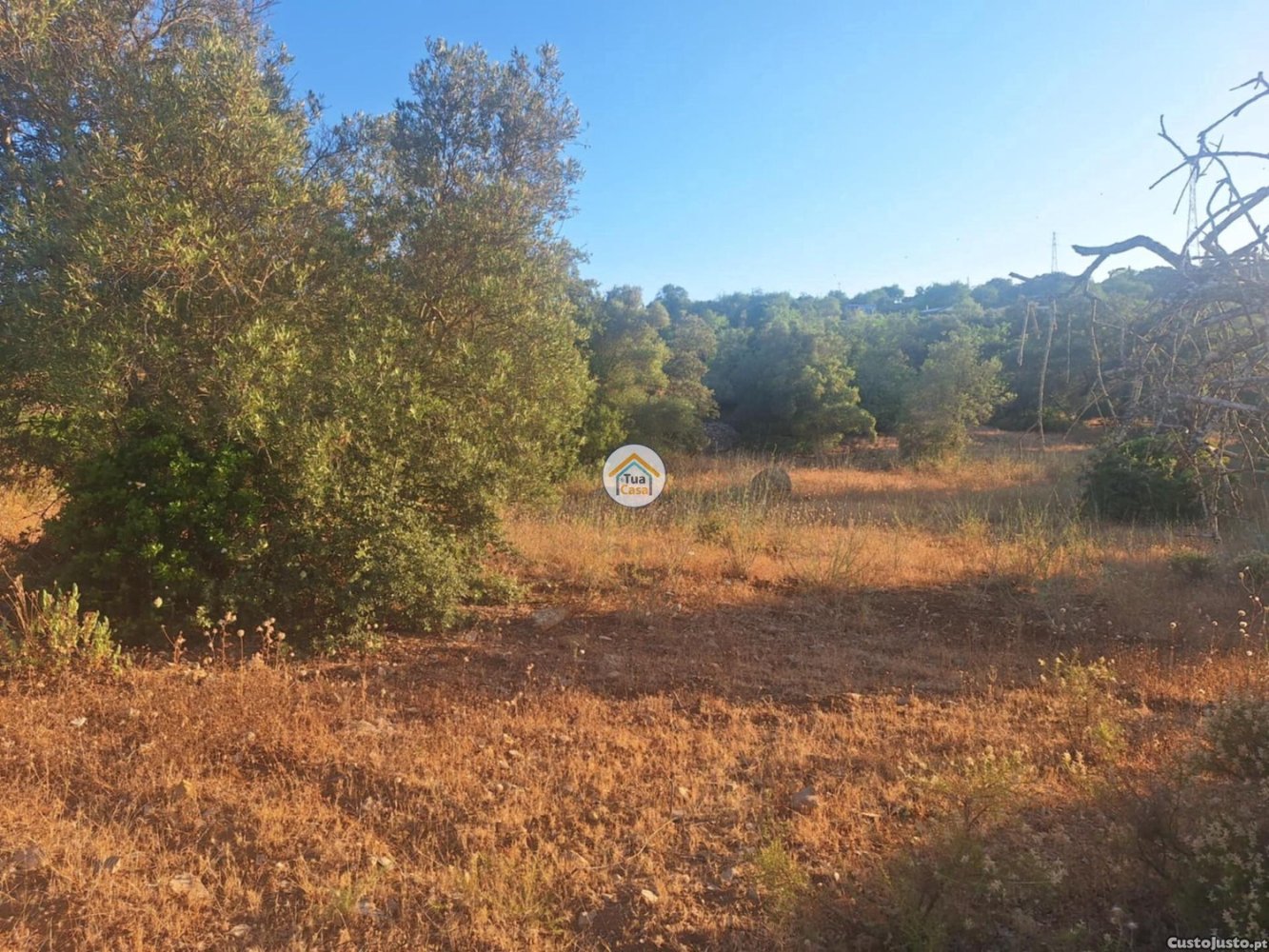 Земельный участок 4960м² в Фару, Португалия № 305930