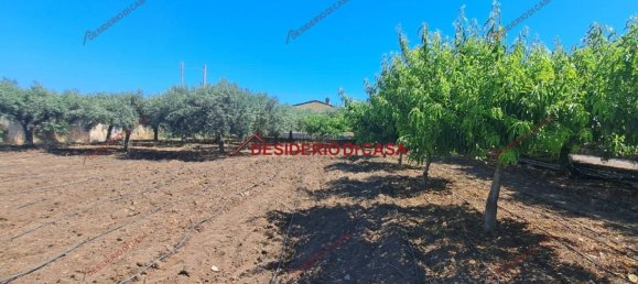 1 bedroom Villa in Termini Imerese, Italy No. 270580 14