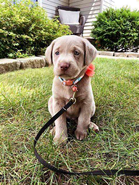  قطعة أرض في Warendorf, Germany رقم 341582