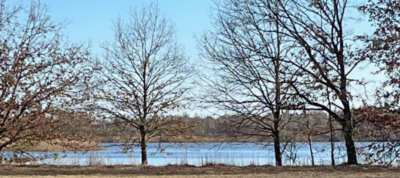 2غرفة بنغالو في Steglitz, Germany رقم 51318 13