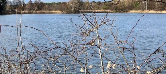 2غرفة بنغالو في Steglitz, Germany رقم 51318 12