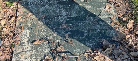 2غرفة بنغالو في Steglitz, Germany رقم 51318 3