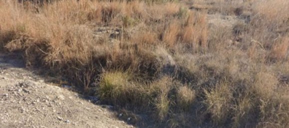  قطعة أرض في Monforte del Cid, Spain رقم 160965 5