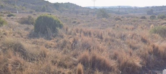  قطعة أرض في Monforte del Cid, Spain رقم 160965 6