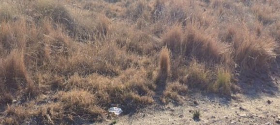  قطعة أرض في Monforte del Cid, Spain رقم 160965 3