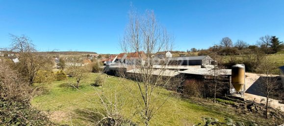 2-Zimmer Stadthaus in Saarbrücken, Germany, Nr. 15203 17