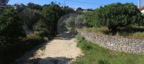 Casa T5 em Ansião, Portugal N.º 22016 26