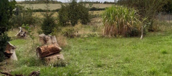 6 rooms House in Weimarer Land, Germany No. 354503 4