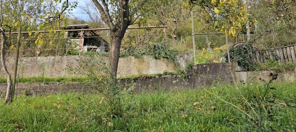 4 غرف نوم منزل في Enzkreis, Germany رقم 32904 58