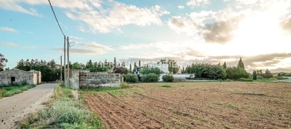 Земельный участок в Инка, Испания № 155363 3