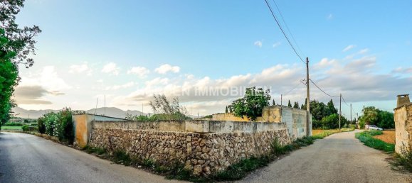 Земельный участок в Инка, Испания № 155363 2