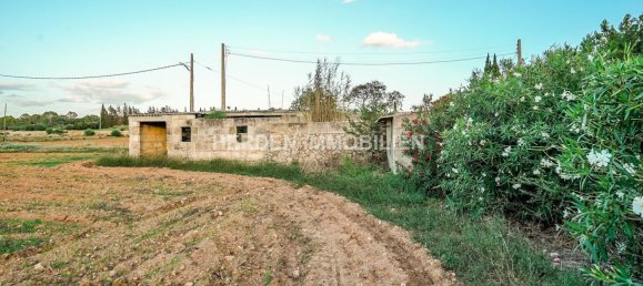 Земельный участок в Инка, Испания № 155363 5