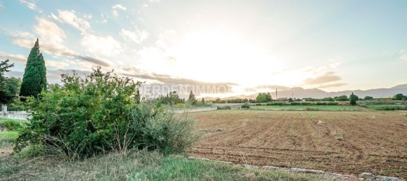 Земельный участок в Инка, Испания № 155363 7