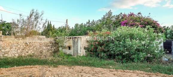 Земельный участок в Инка, Испания № 155363 6