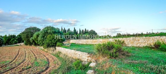 Земельный участок в Инка, Испания № 155363 8