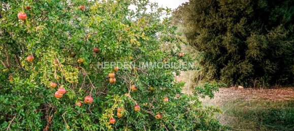 Земельный участок в Инка, Испания № 155363 9