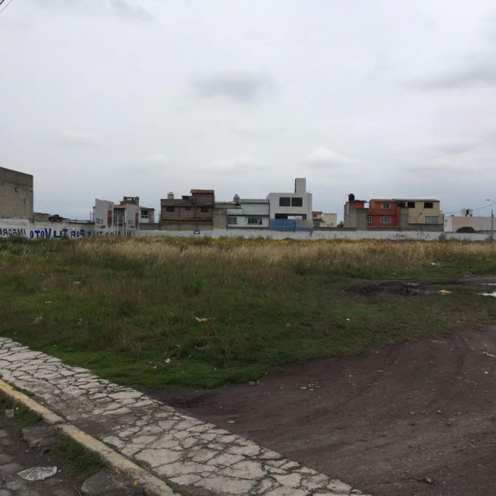  Land in Mexico No. 204465