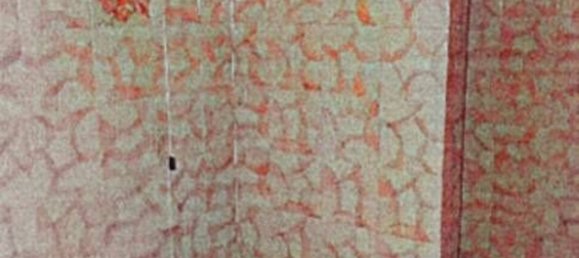 3 rooms Villa in Castelvetro di Modena, Italy No. 306608 10