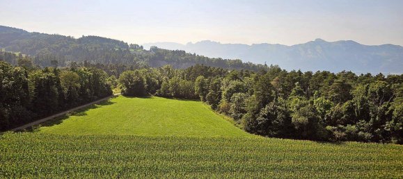 1 bedroom Apartment in Feldkirch, Austria No. 237288 17