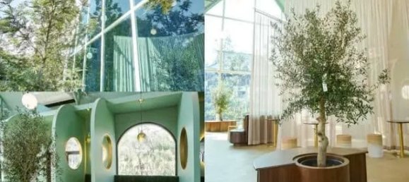 20 bedrooms Commercial property in Chiang Mai, Thailand No. 23075 3