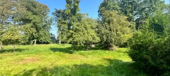 3 rooms House in Vorpommern-Rugen, Germany No. 152592 3