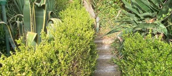 10 chambres Villa à Cinisi, Italy No. 327269 13