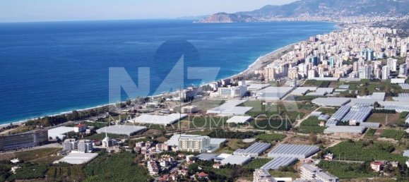 Apartment 1+1 in Alanya, Turkey No. 14429 5