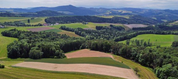 10 rooms Commercial property in Wiesmath, Austria No. 202281 5