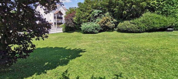 10 rooms Commercial property in Wiesmath, Austria No. 202281 14