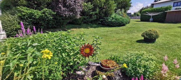 10 rooms Commercial property in Wiesmath, Austria No. 202281 13