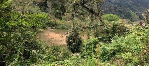 Terrain à Aserri, Costa Rica No. 1819 5