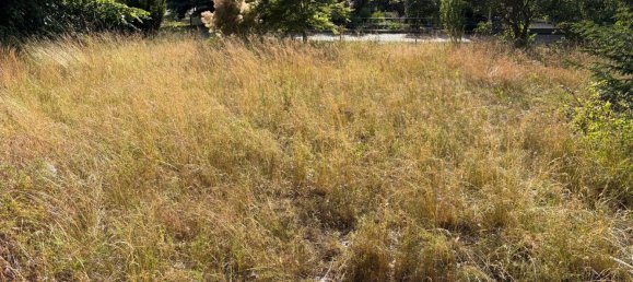 Terrain à Dahme-Spreewald, Germany No. 265367 4