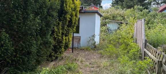 Terrain à Dahme-Spreewald, Germany No. 265367 5