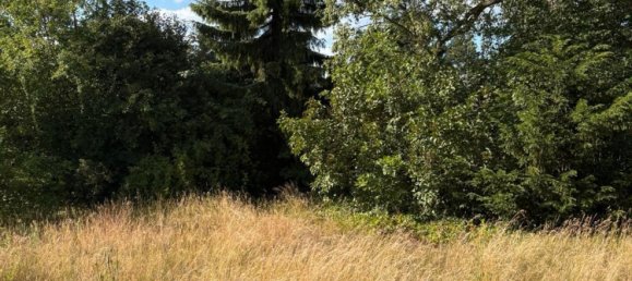 Terrain à Dahme-Spreewald, Germany No. 265367 2