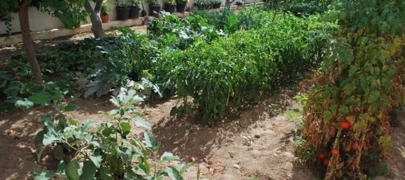 10 bedrooms Villa in Mijas, Spain No. 84099 6