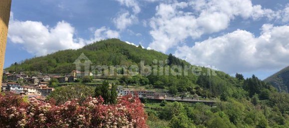 Casa de 3 dormitorios en Sillano Giuncugnano, Italy No. 152221 29