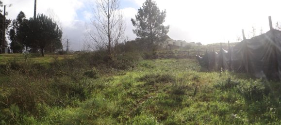 Grundstück in Pousa, Portugal 336m², Nr. 96710 27