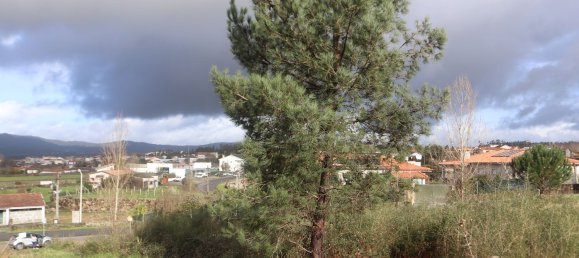 Grundstück in Pousa, Portugal 336m², Nr. 96710 21