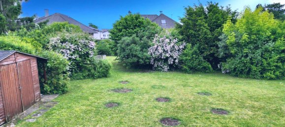 Дом с 5 комнатами в Прелленкирхен, Австрия № 145622 5